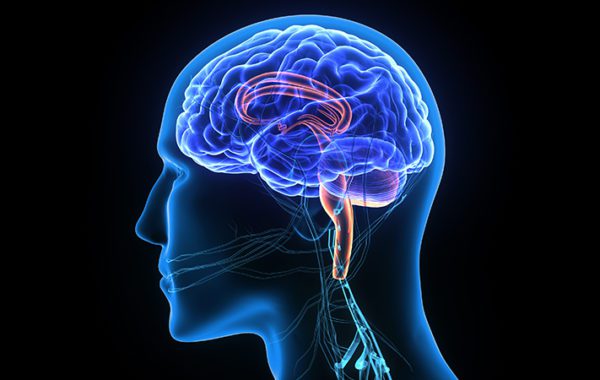 https://www.neuromedicinecompany.com/wp-content/uploads/2024/09/neurosurgeon-neurologist-600x380-1.jpg